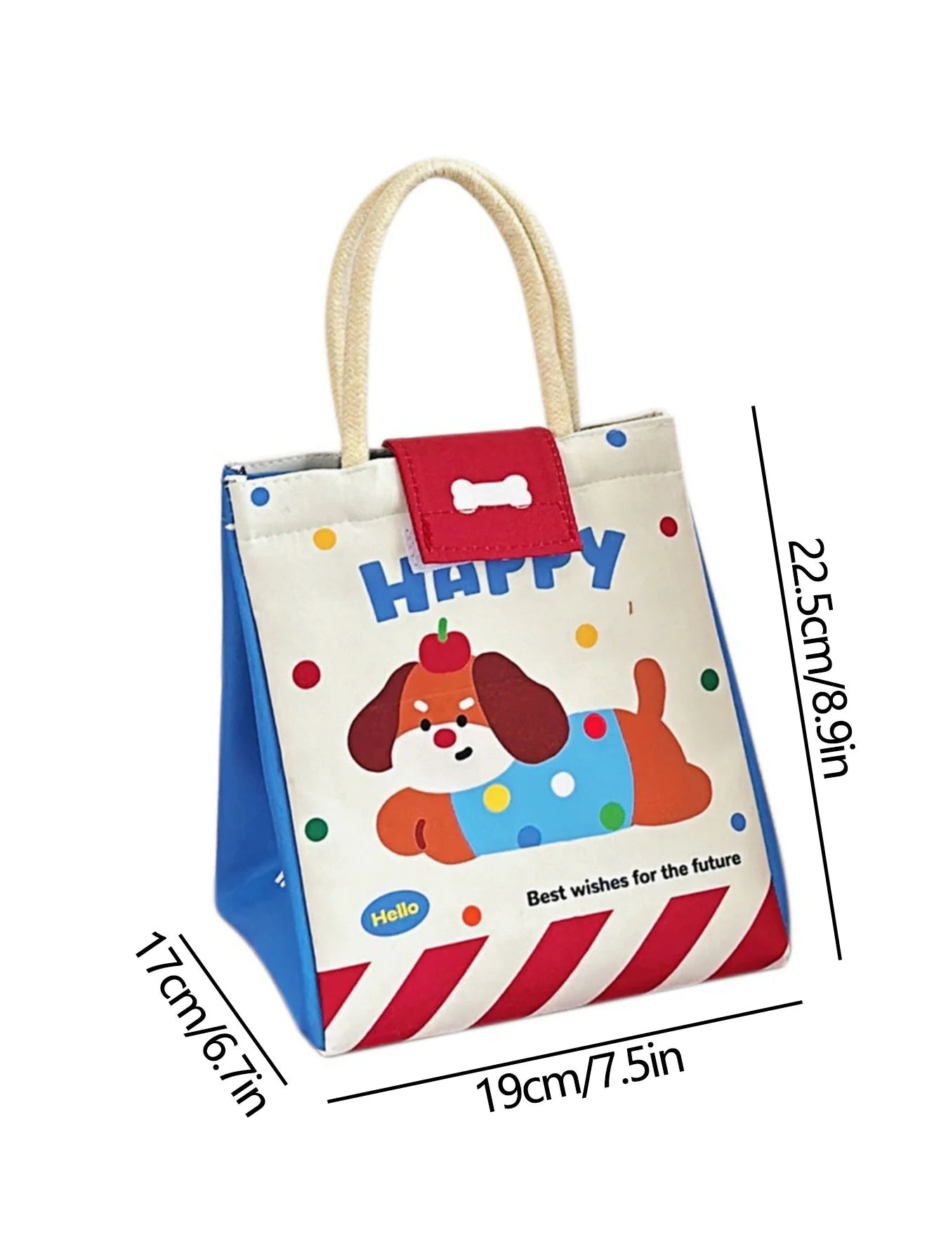 Cute Cartoon Bento Lunch Bag