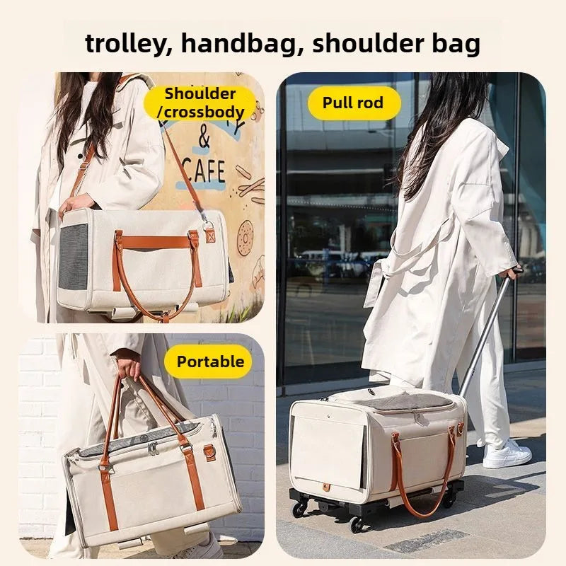 Multifunctional Cat Carrier with Trolley – Large Capacity, Foldable & Breathable Pet Bag