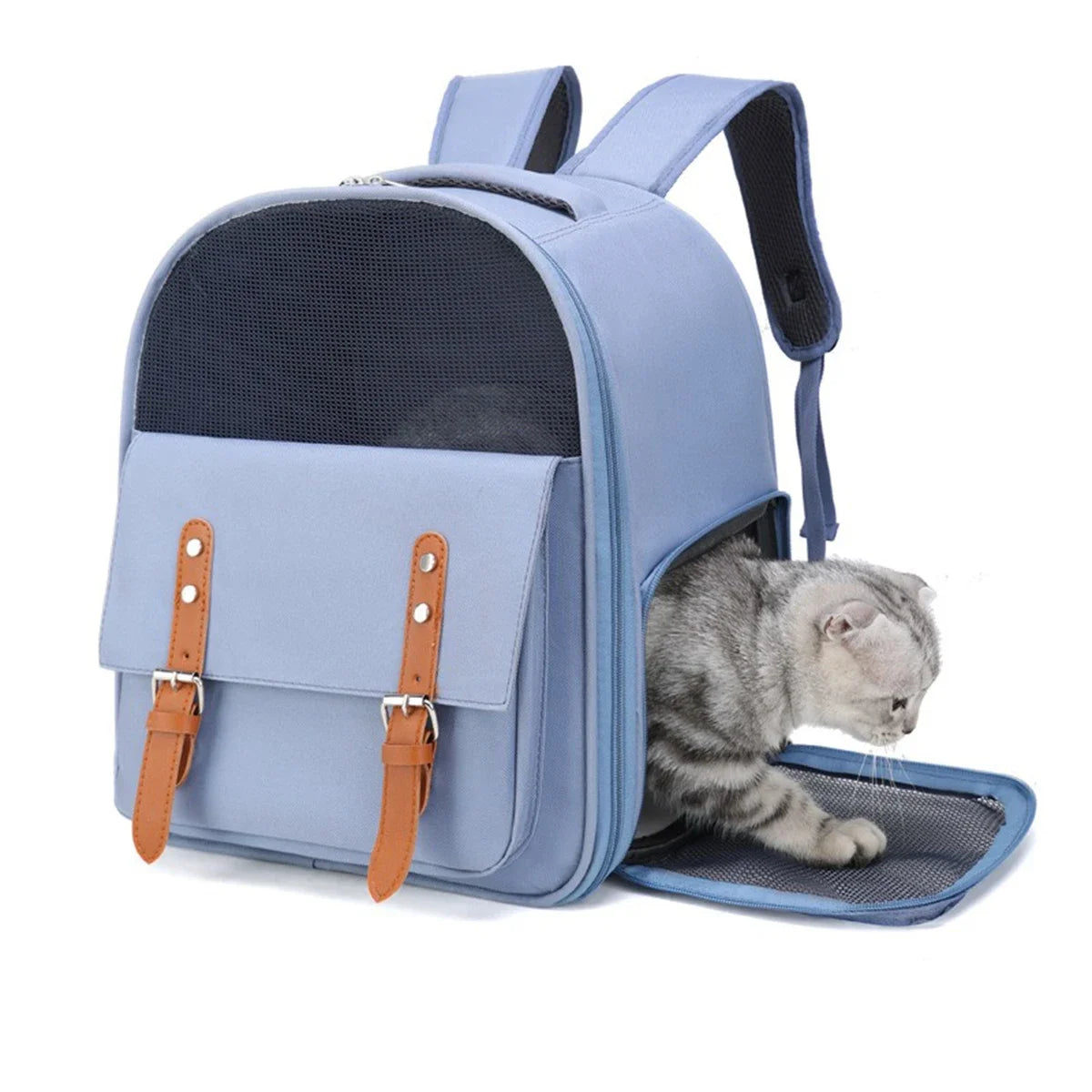 Lightweight Cat Carrier – Oxford & Mesh Backpack with Comfortable Straps
