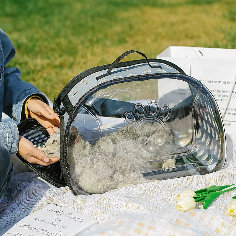 Comfortable Travel Carrier for Small Cats