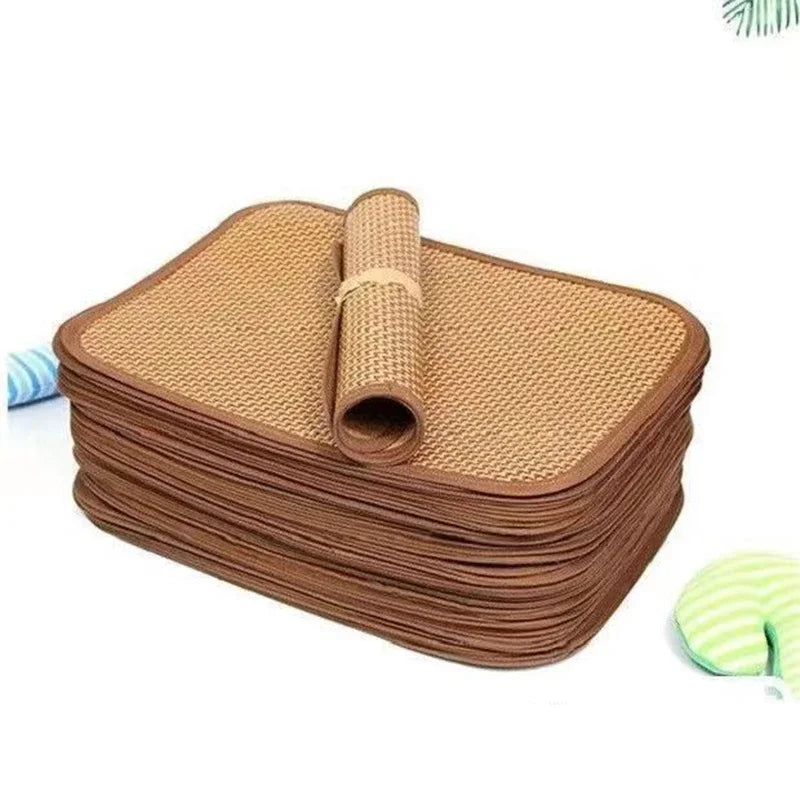 Anti-Breakaway Pet Backpack – Travel Carrier