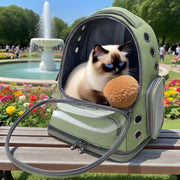 Stylish Pet Travel Bag – Transparent Shoulder Carrier for Cats