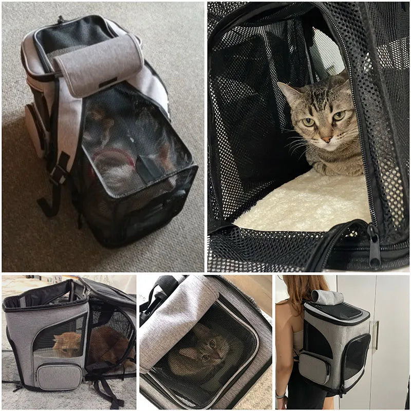 Breathable Foldable Pet Carrier Backpack – Expandable Travel Bag for Cats